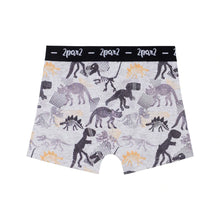 Load image into Gallery viewer, deux par deux Boys Printed Boxers
