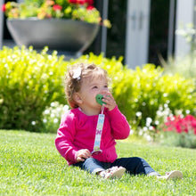 Load image into Gallery viewer, JJ Cole Pacifier Clip (2 Pack)
